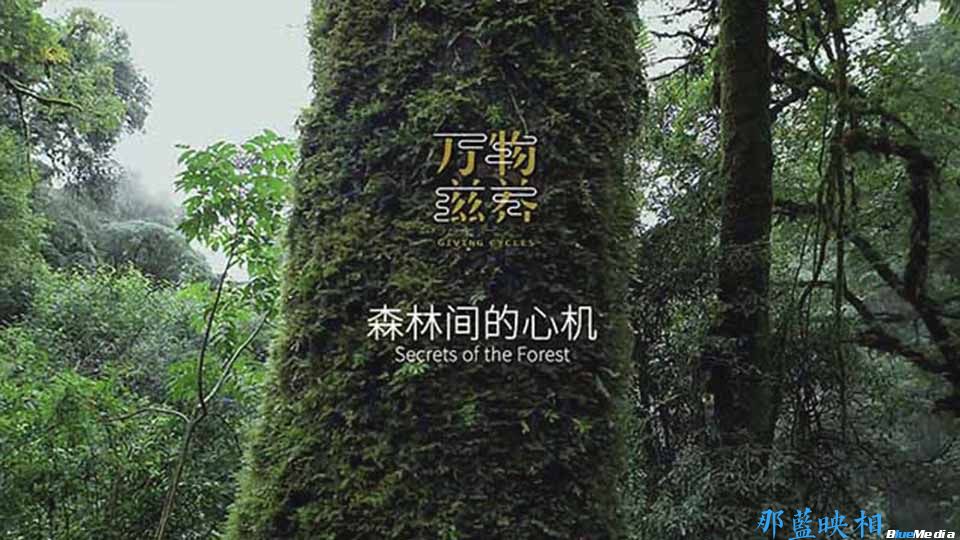 纪录片万物滋养: 海报