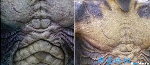 电影:奥斯卡最佳影片《水形物语》揭秘之人鱼特效化妆(图13) 电影:奥斯卡最佳影片《水形物语》揭秘之人鱼特效化妆(图13)